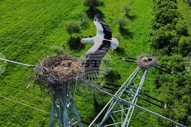 APTOPIX Germany Daily Life