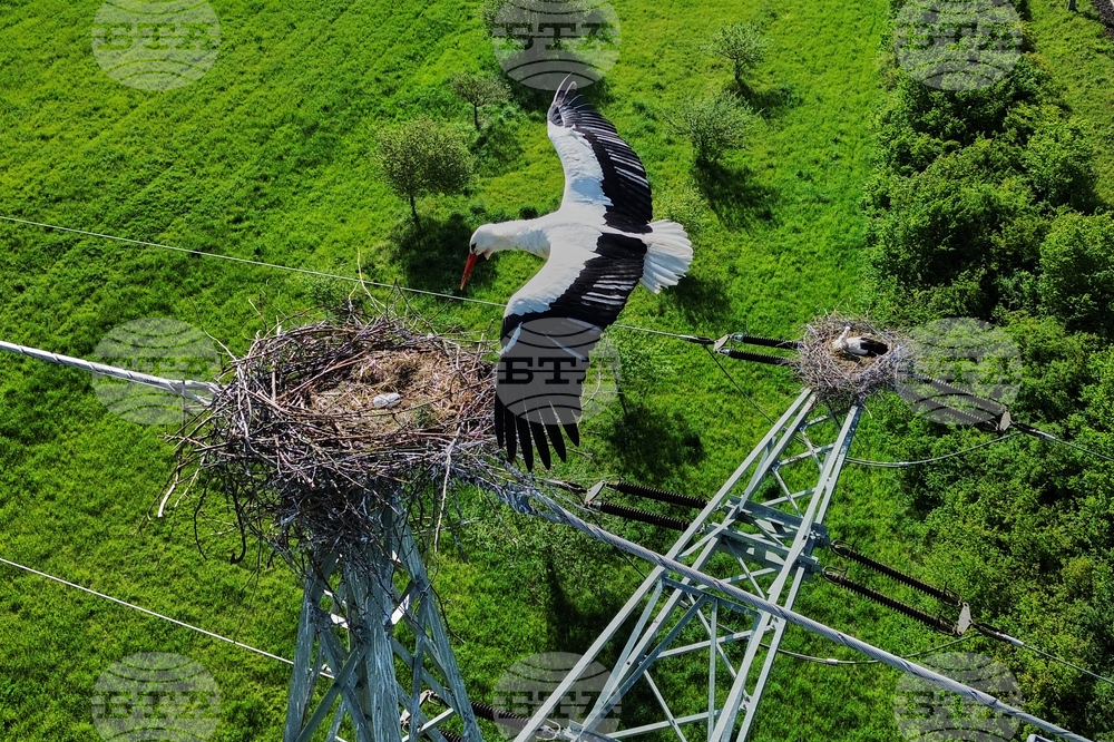 APTOPIX Germany Daily Life