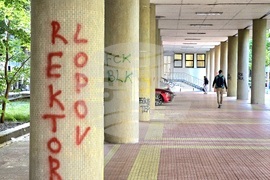 Сърбия - Белград - графити