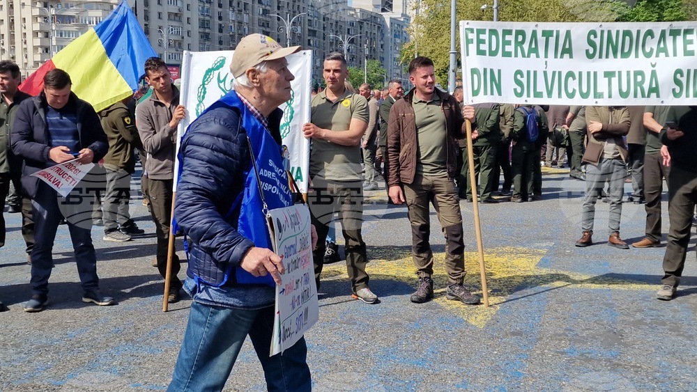 Румъния - национален протестен митинг