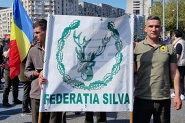 Румъния - национален протестен митинг