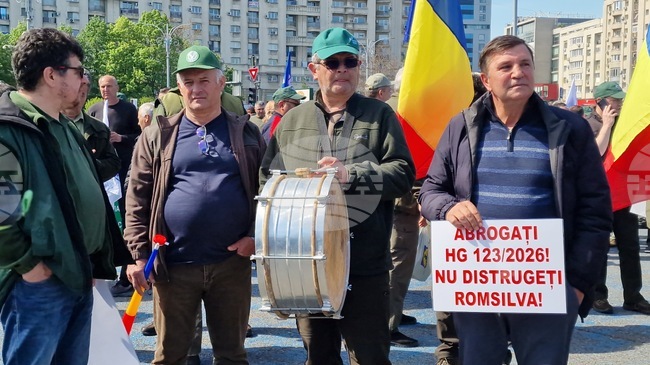 Румъния - национален протестен митинг