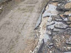 Снимка: Възраждане