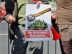 Румъния - национален протестен митинг