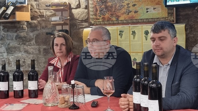 Bulgarian Scientists, Winemakers Select Local Yeasts for Regional Wine Production