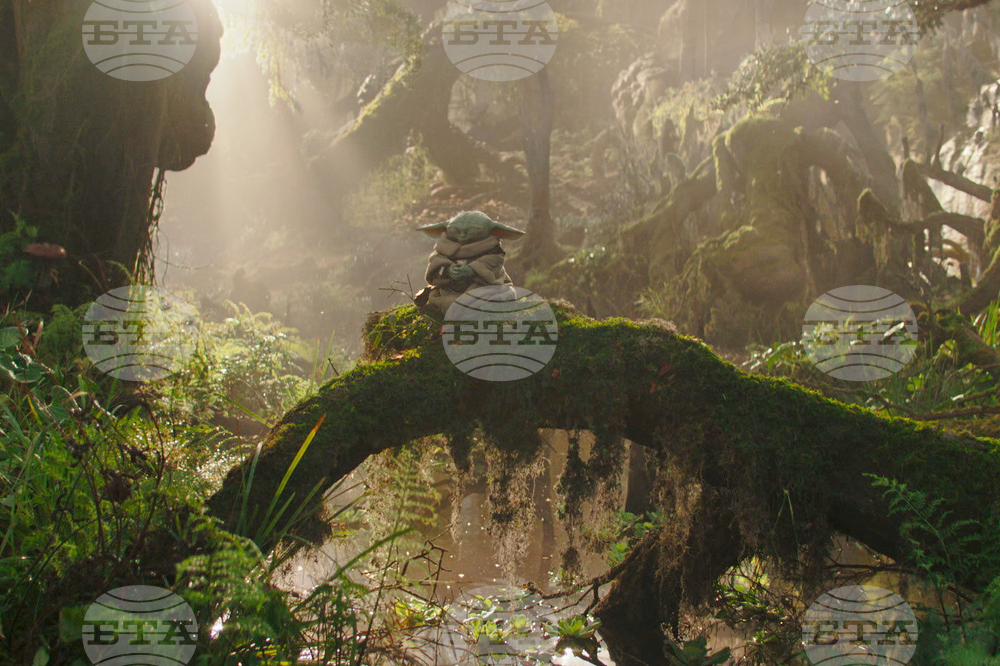 Summer Movie Preview-The Mandalorian and Grogu