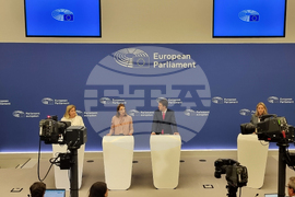 Франция - Страсбург - Европейски парламент - пресконференция