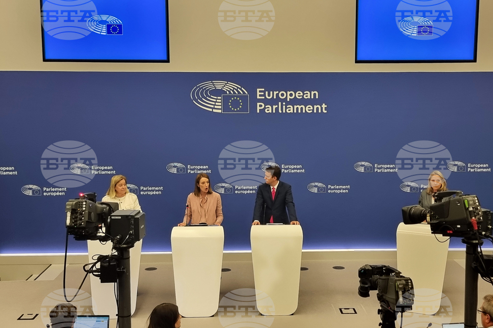 Франция - Страсбург - Европейски парламент - пресконференция