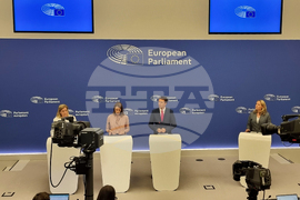 Франция - Страсбург - Европейски парламент - пресконференция