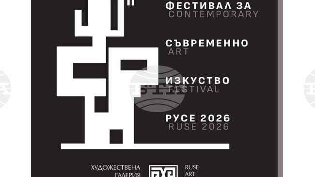 Художествената галерия в Русе организира Фестивал за съвременно изкуство и търси доброволци за организирането му