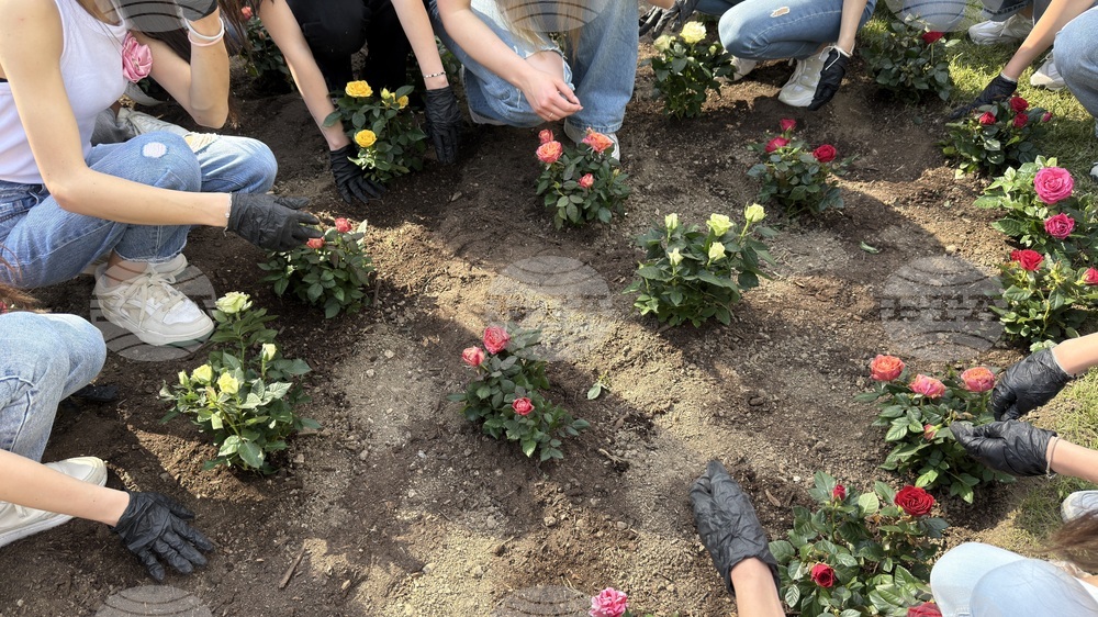 Казанлък - „Пътят към короната“- Царица Роза