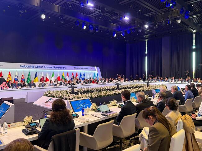 Bulgaria to Host Organization for Economic Cooperation and Development Skills Summit in 2028, Deputy Minister of Education Says