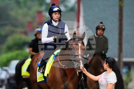 Kentucky Derby Horse Racing