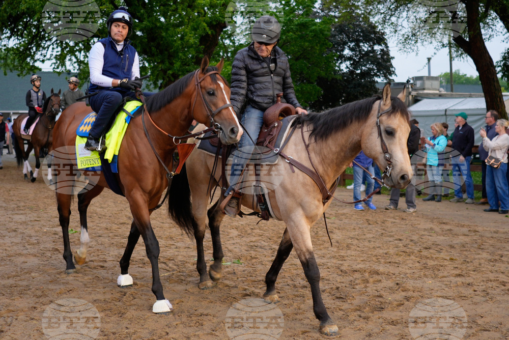 Kentucky Derby Horse Racing