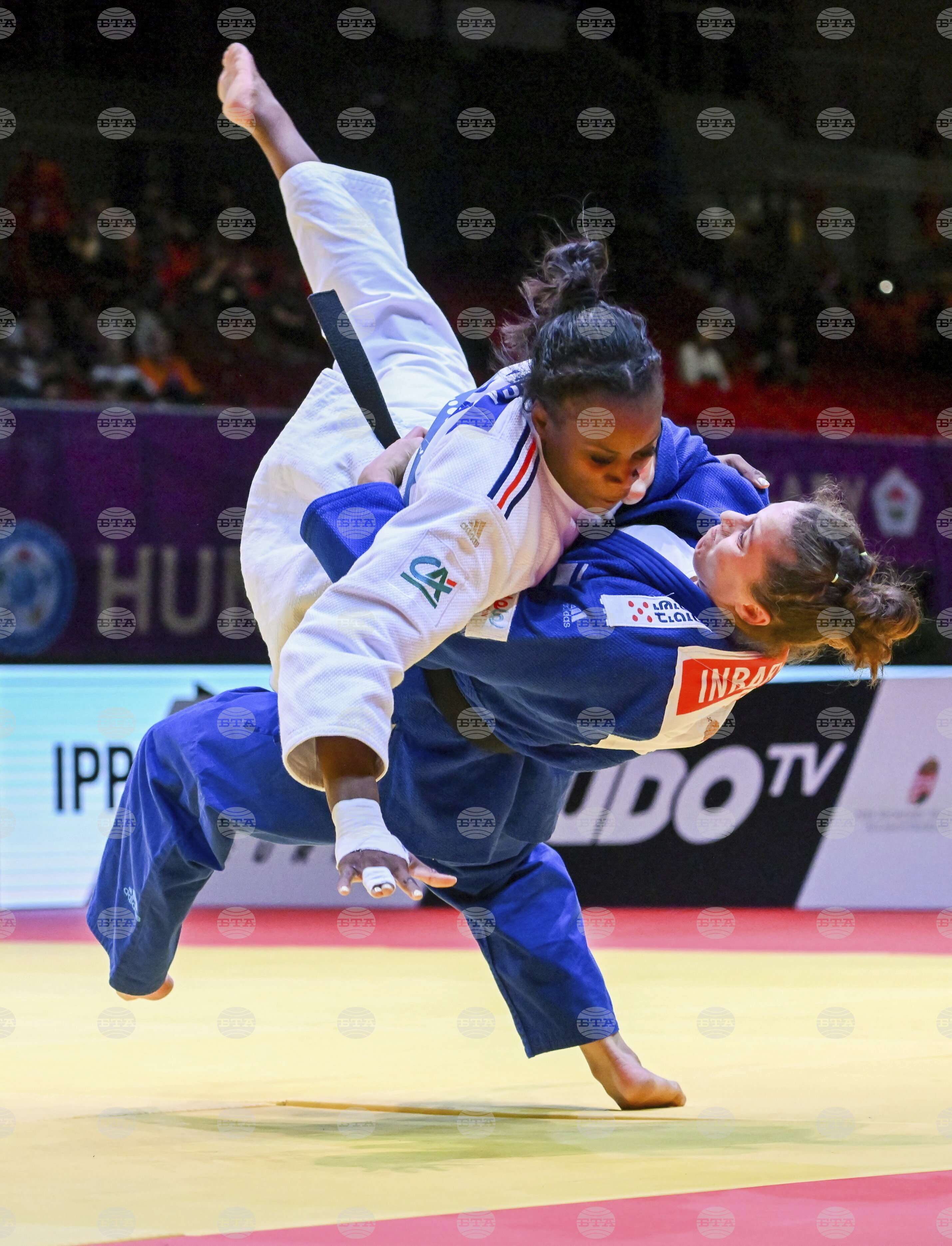 Hungary Judo Masters