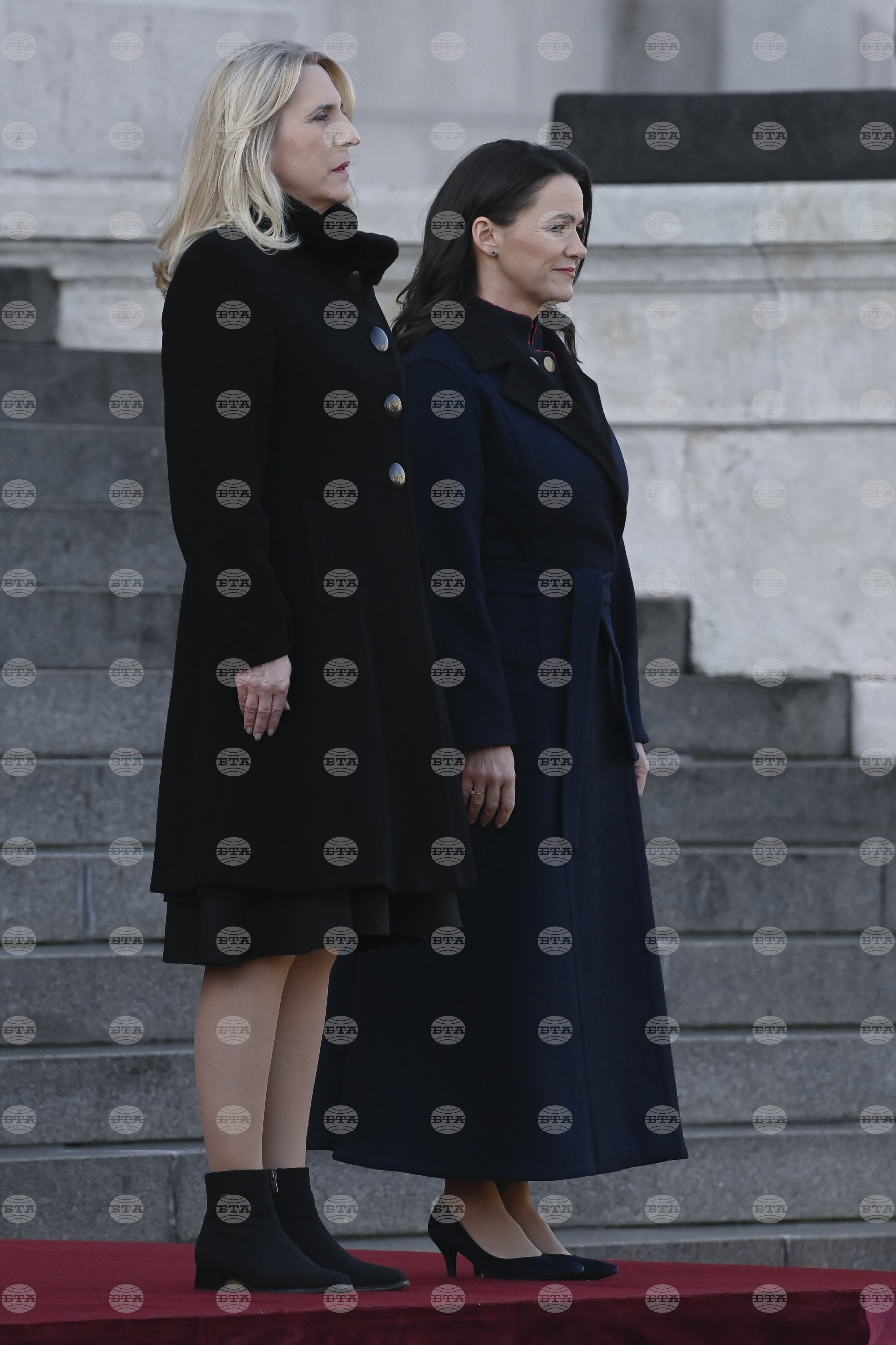 Hungary Bosnia Politics