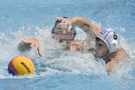 Hungary Swimming Worlds