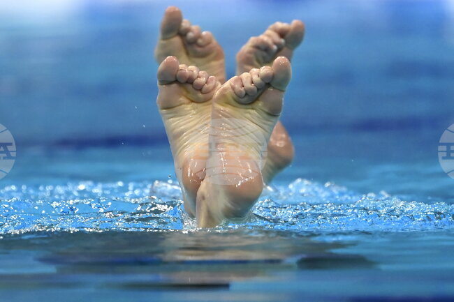 APTOPIX Hungary European Swimming Championships