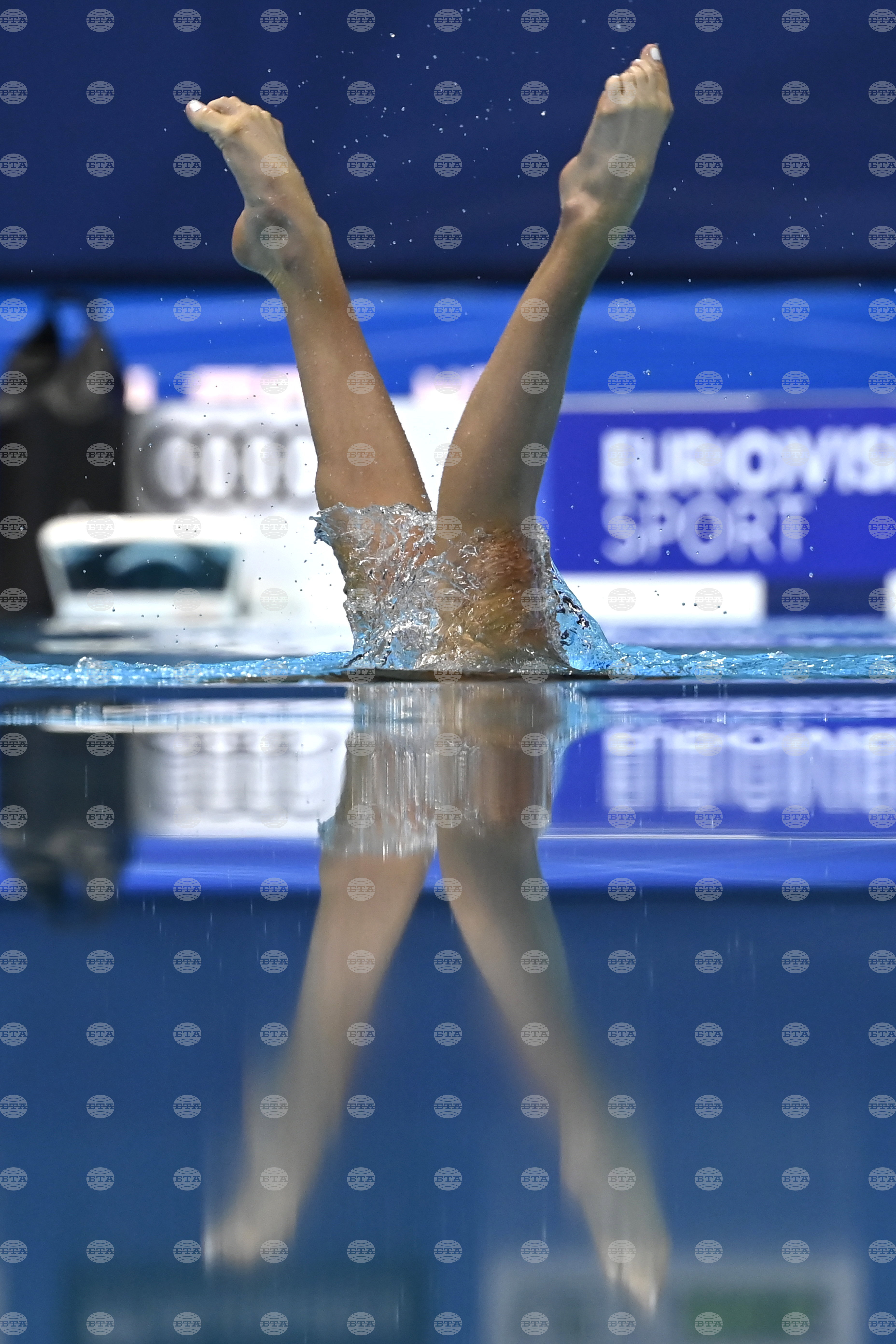 Hungary European Swimming Championships