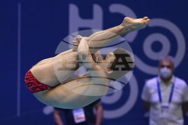 Hungary European Swimming Championships