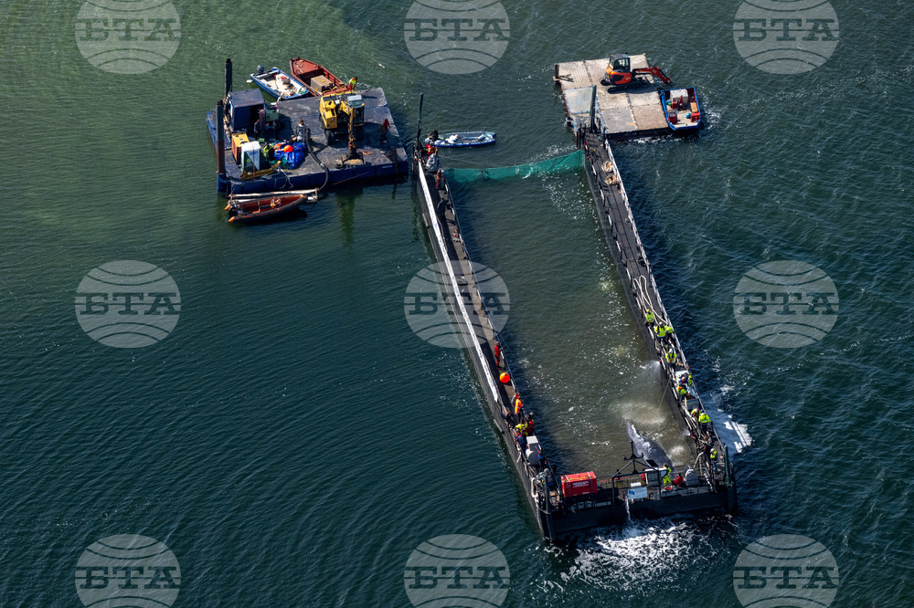 Germany Whale Rescue
