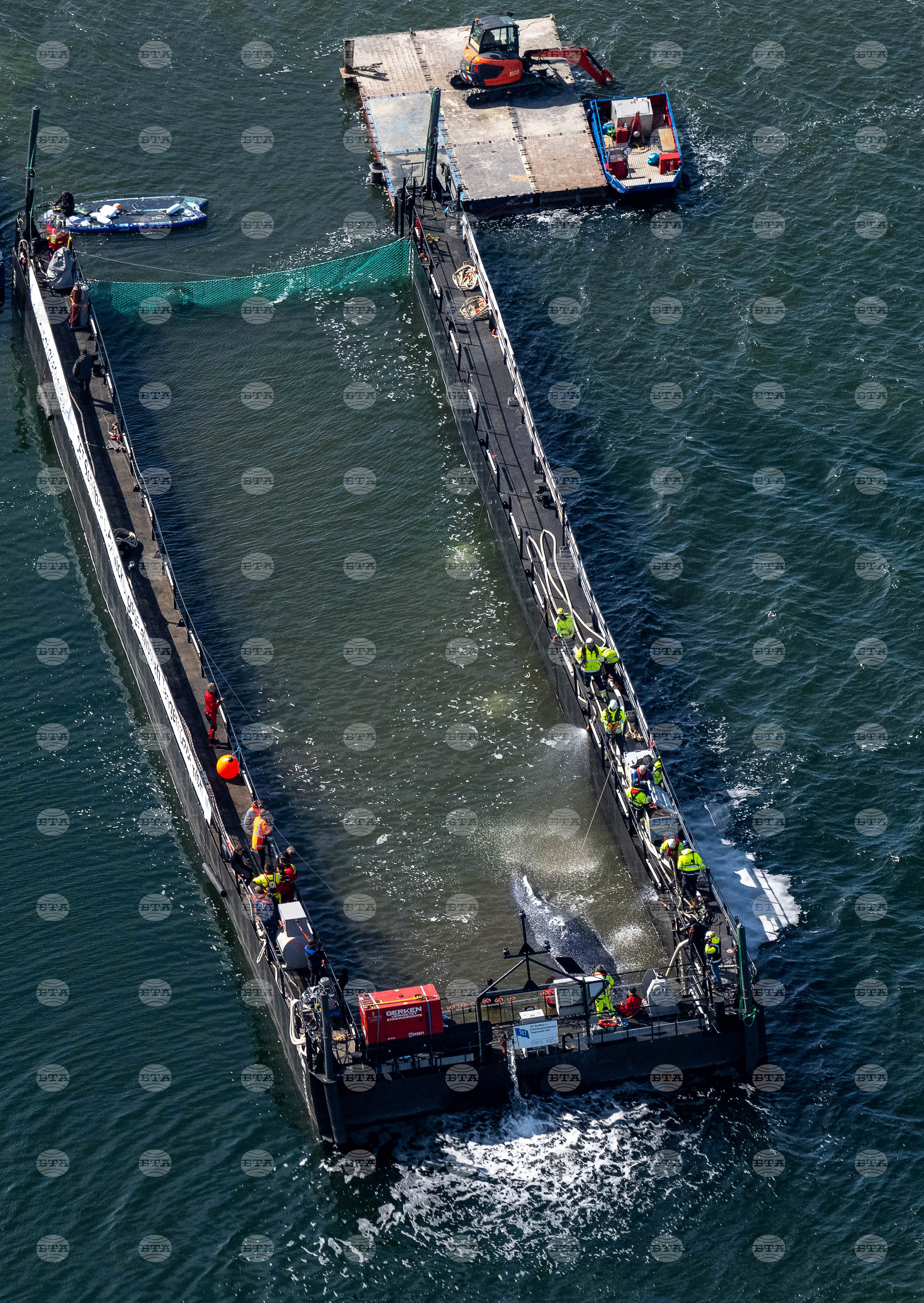 Germany Whale Rescue