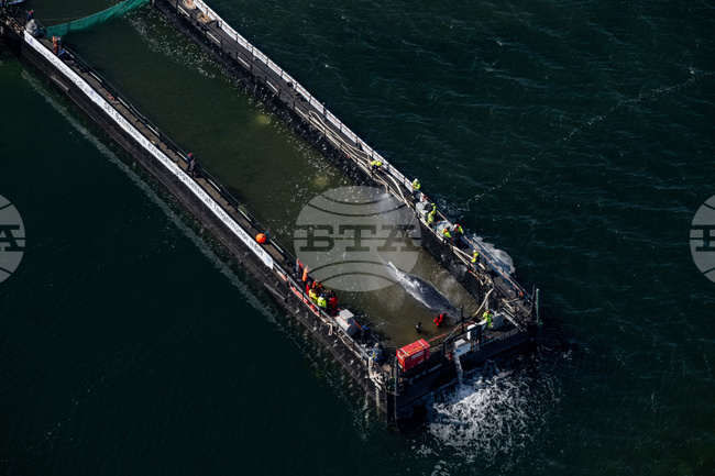 APTOPIX Germany Whale Rescue