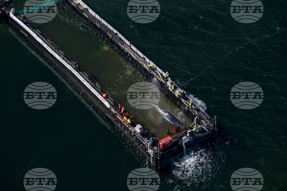 APTOPIX Germany Whale Rescue
