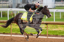 Kentucky Derby Horse Racing