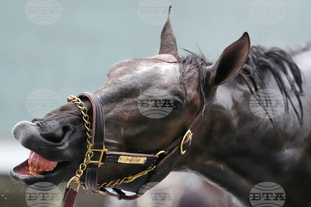 Kentucky Derby Horse Racing