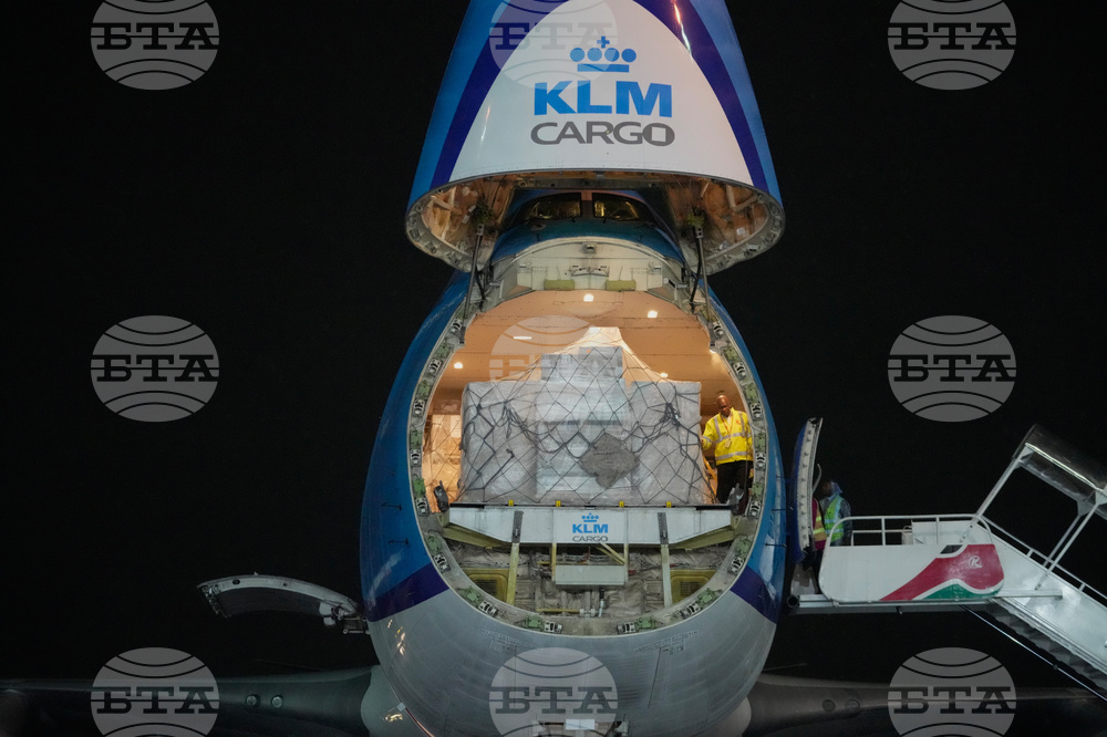 Kenya Mountain Bongos