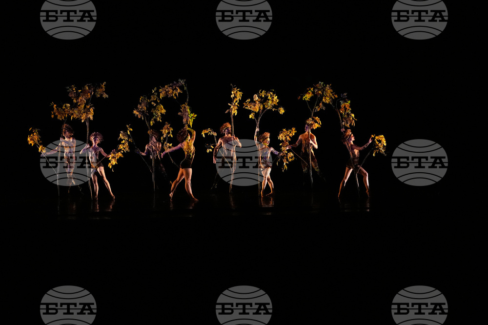 Italy Momix