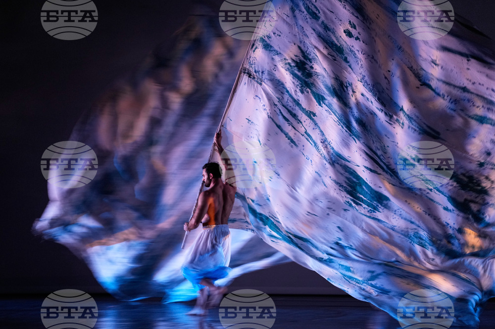 Italy Momix