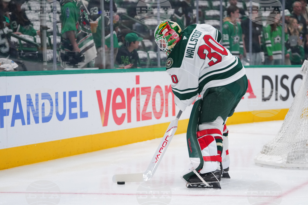 Wild Stars Hockey