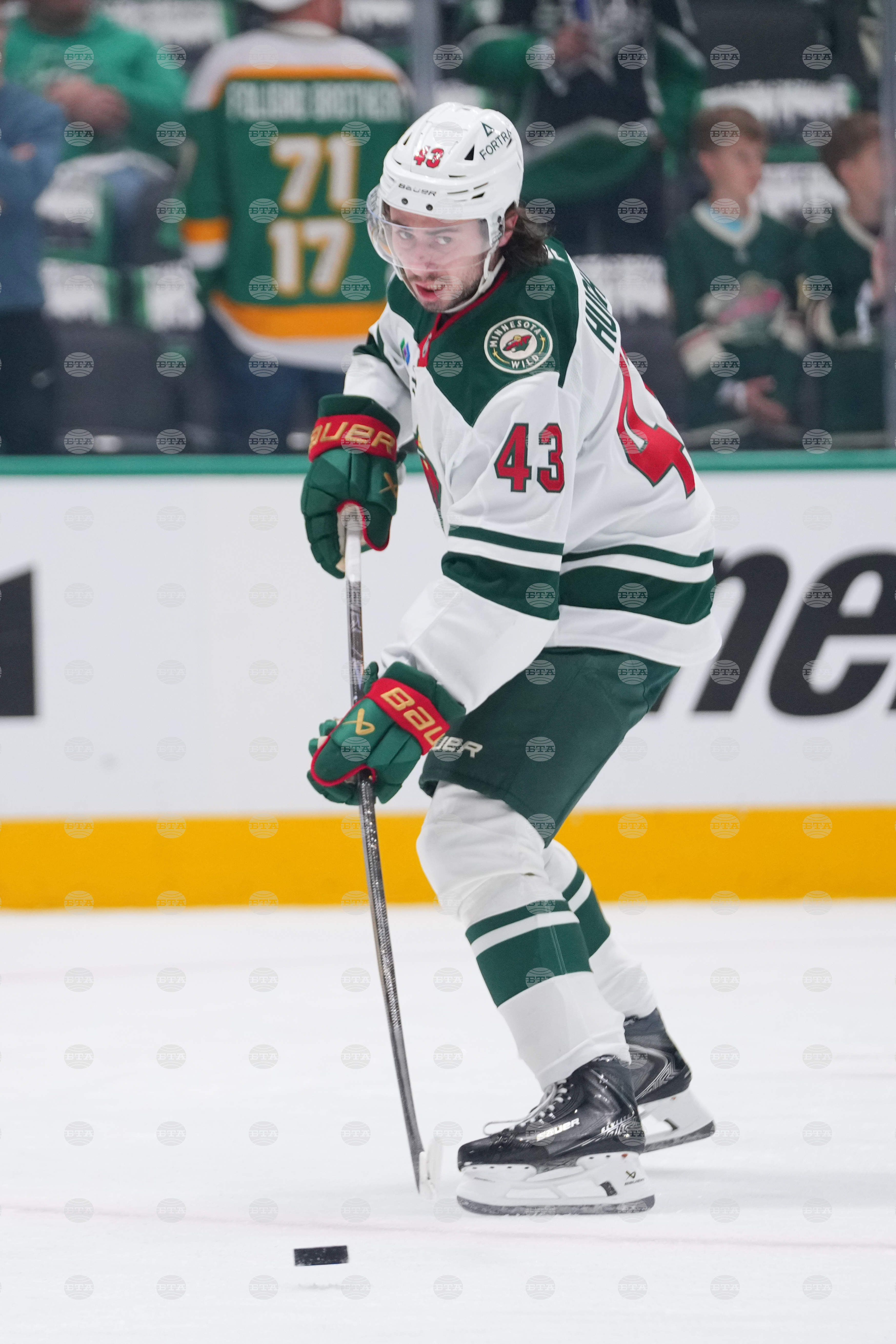 Wild Stars Hockey