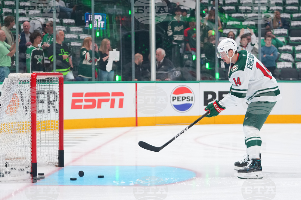 Wild Stars Hockey