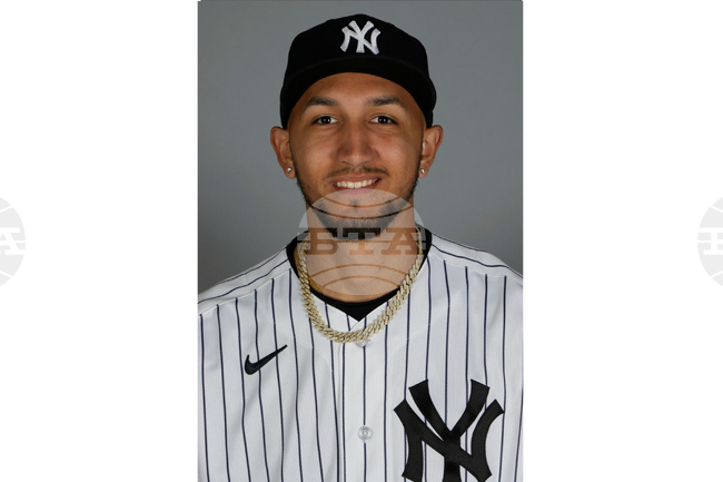 Yankees Moves Baseball