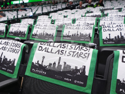 Wild Stars Hockey