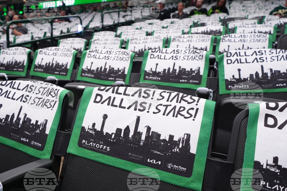 Wild Stars Hockey