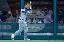 Tigers Braves Baseball