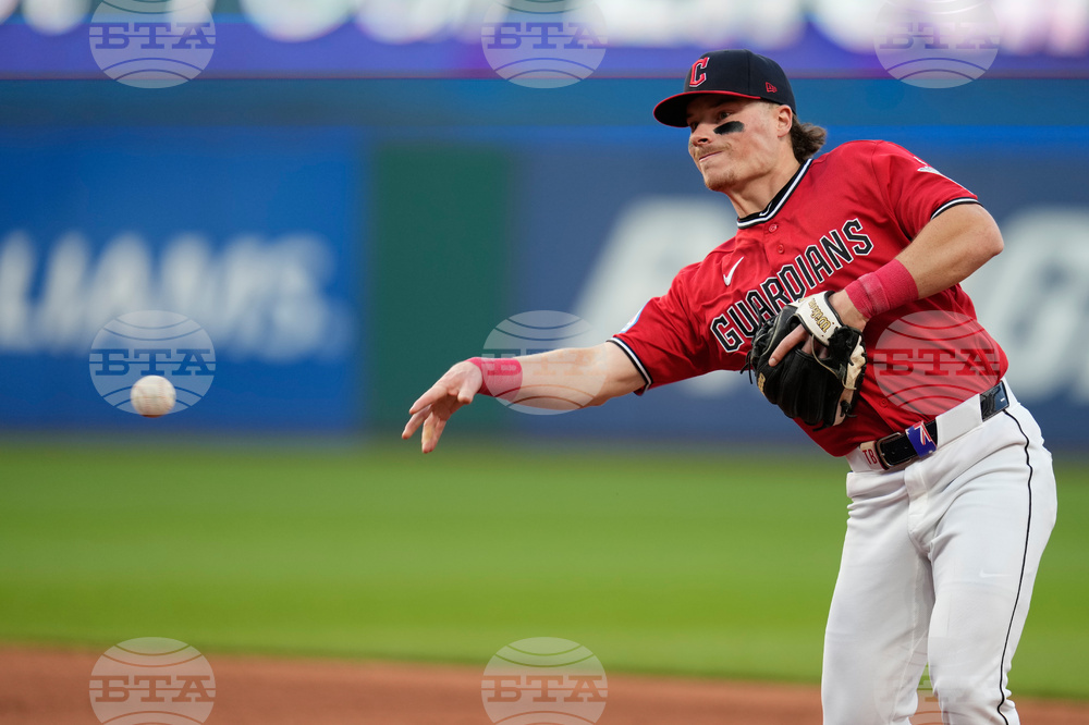 Rays Guardians Baseball