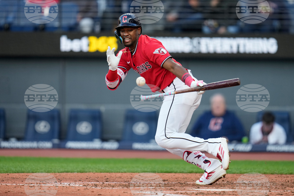 Rays Guardians Baseball