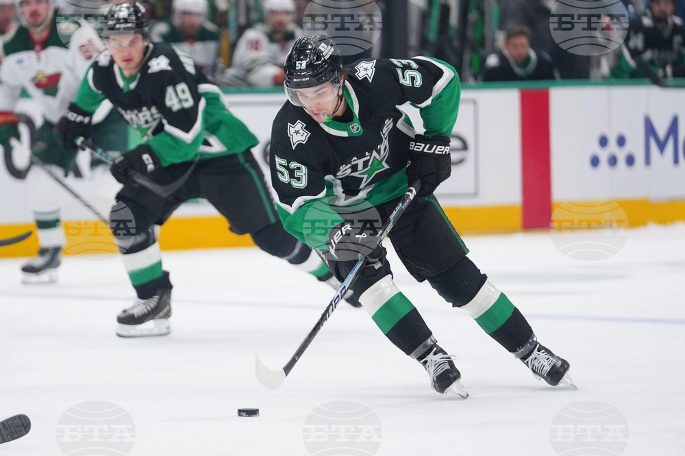 Wild Stars Hockey