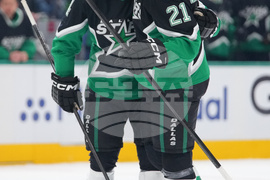 Wild Stars Hockey