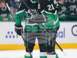 Wild Stars Hockey