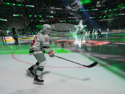 Wild Stars Hockey