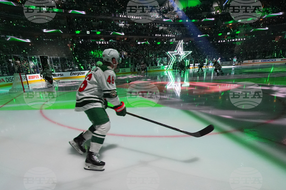Wild Stars Hockey