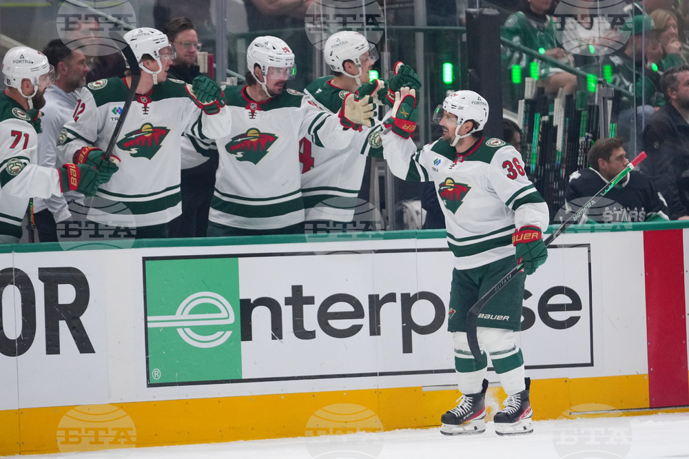 Wild Stars Hockey