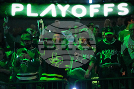 Wild Stars Hockey