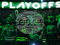 Wild Stars Hockey
